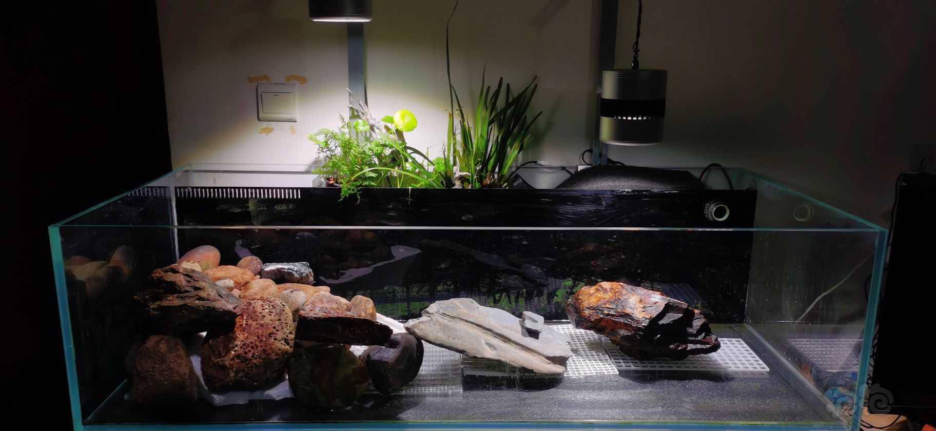 原生溪流缸造影