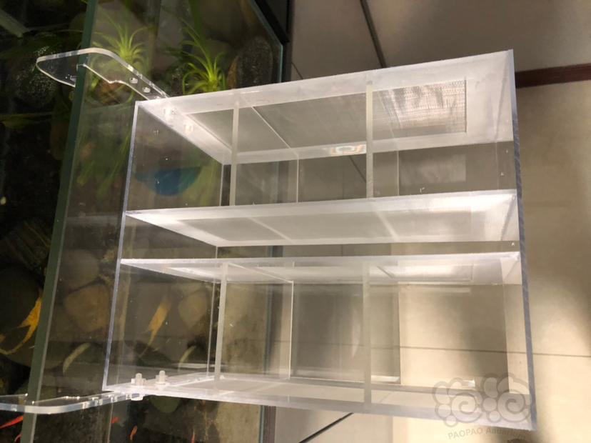 定制一个6房侏儒鳌虾繁殖隔离盒-图2