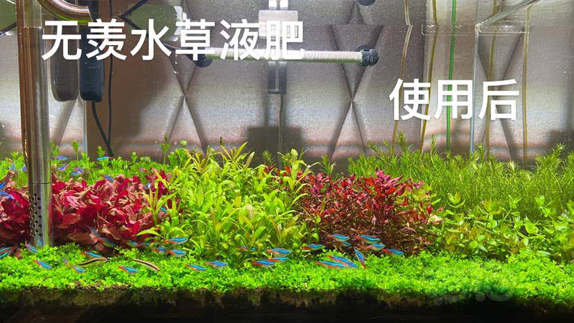 液肥 无羡水草液肥 泡泡水族