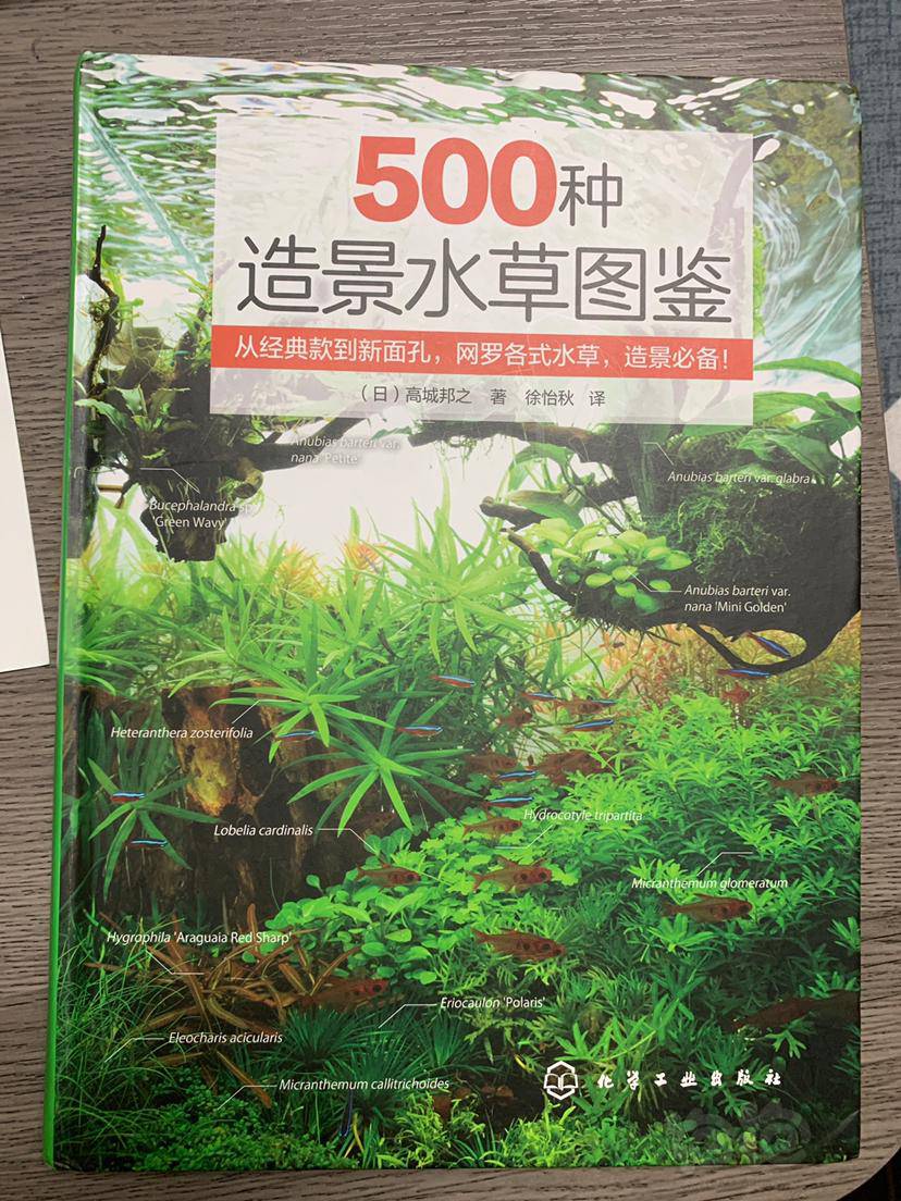 为了玩草缸 我翻出一本书 泡泡水族