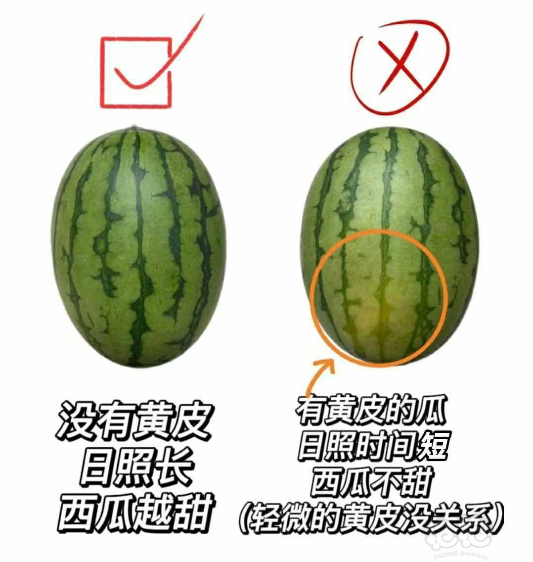 【交流】吃瓜要点→_→-图4
