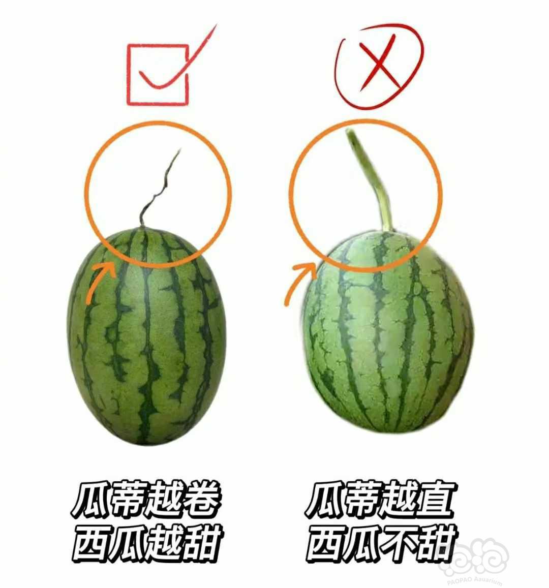 【交流】吃瓜要点→_→-图3