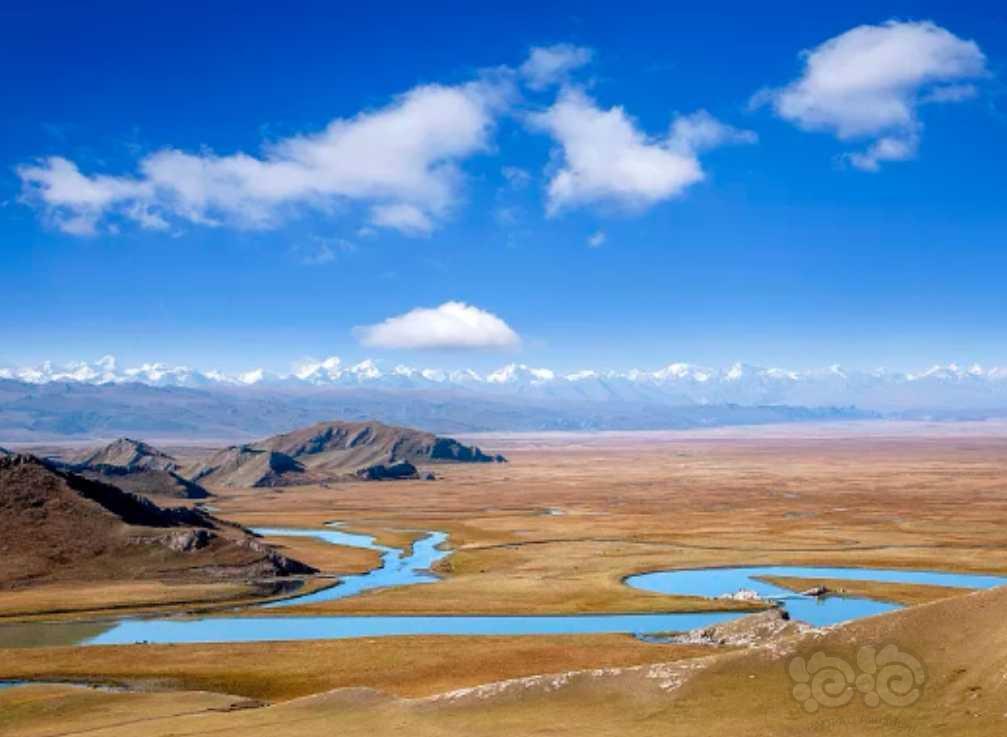 新疆湖泊 二-图3