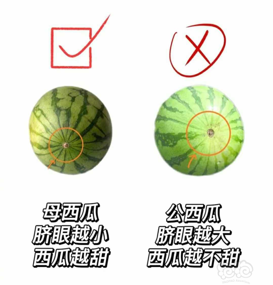 【交流】吃瓜要点→_→-图1