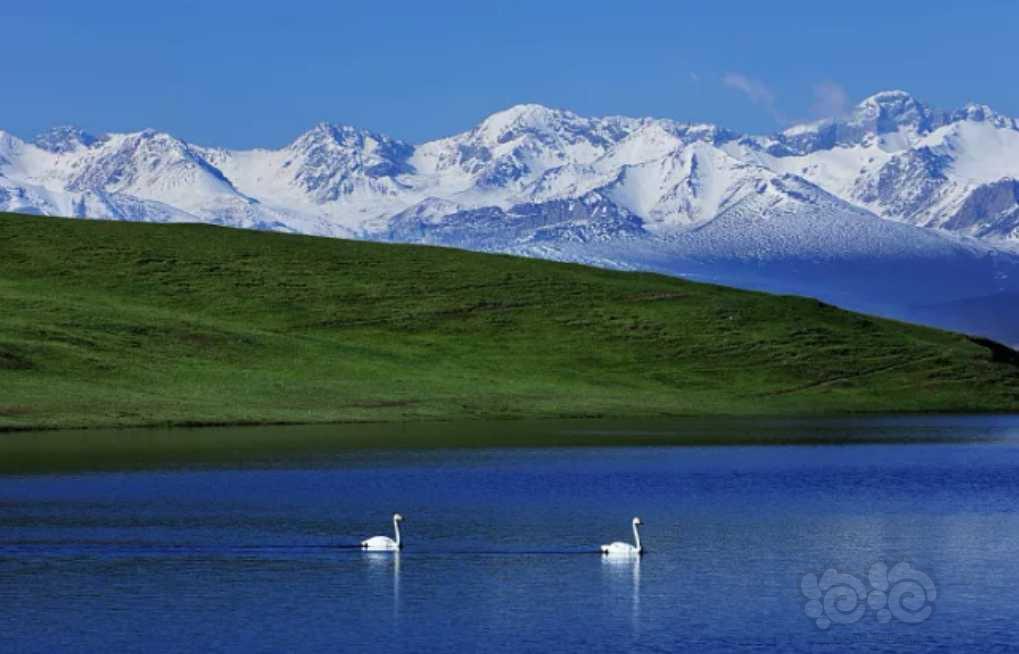 新疆湖泊 二-图1