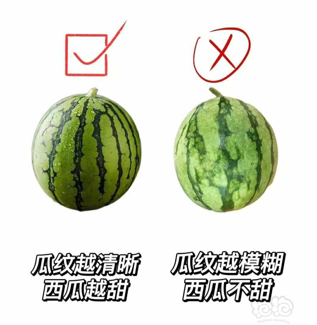 【交流】吃瓜要点→_→-图2