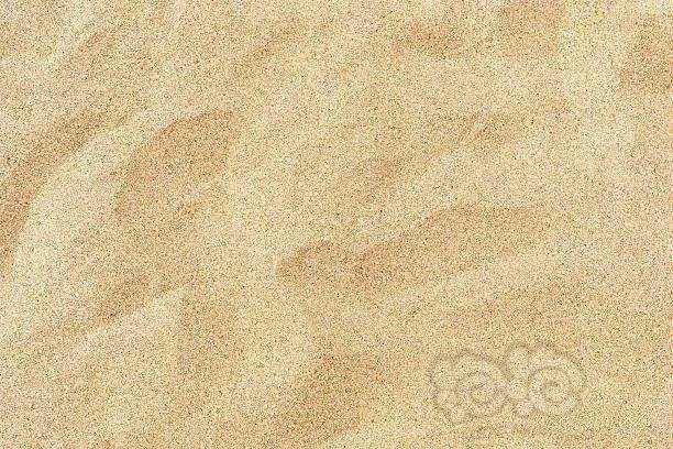 沙子-图1