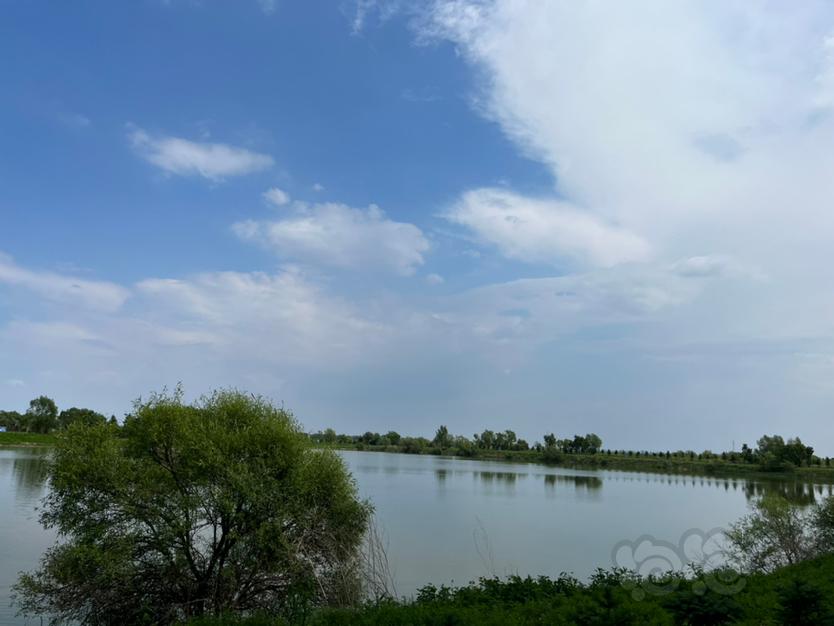 【交流】呼兰滨河湿地公园-图5