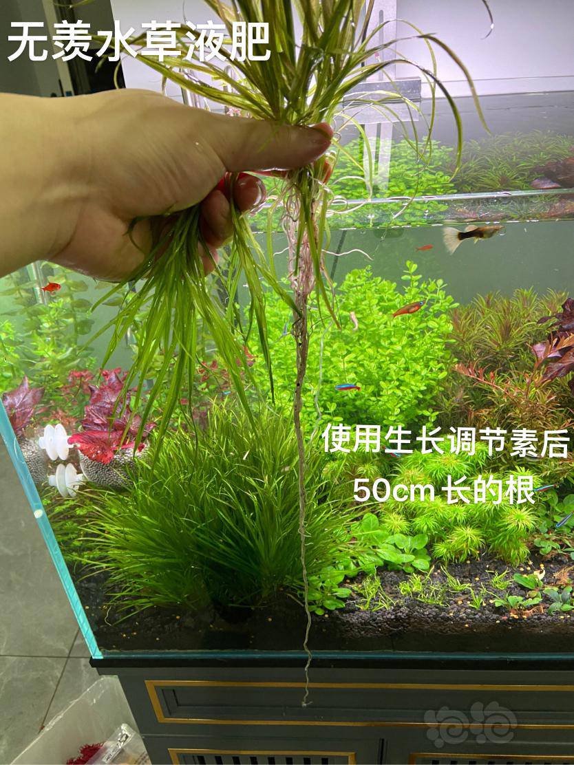 液肥 无羡水草液肥 泡泡水族