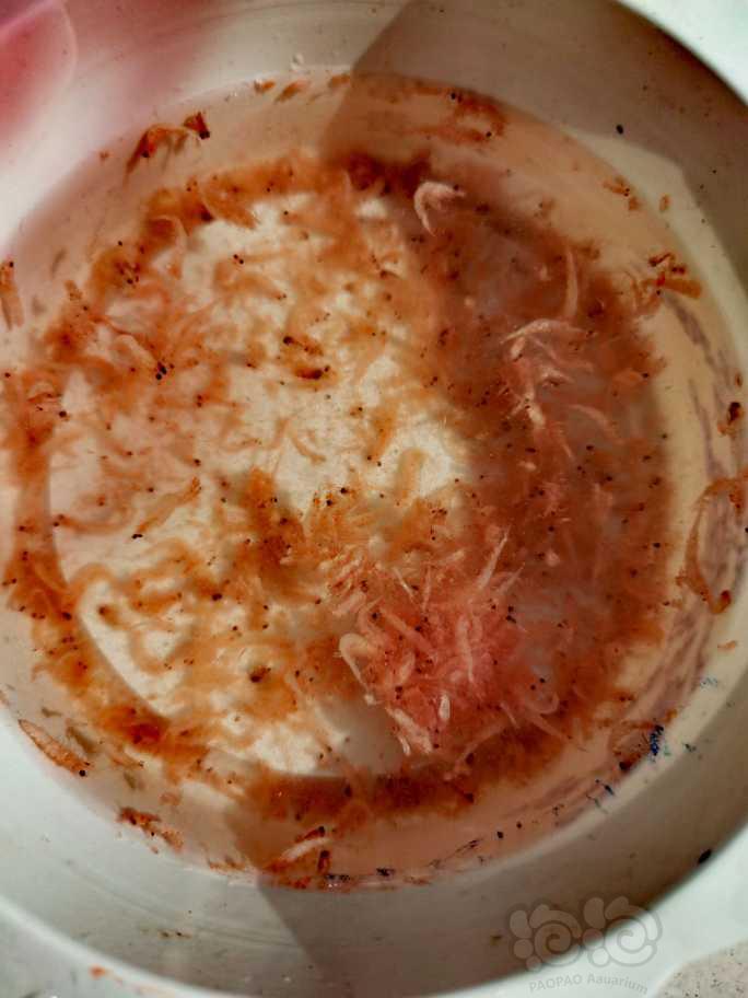介绍一种神仙美食——磷虾-图9