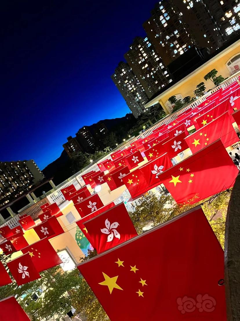 祝福祖国，祝福党，祝福香港-图3