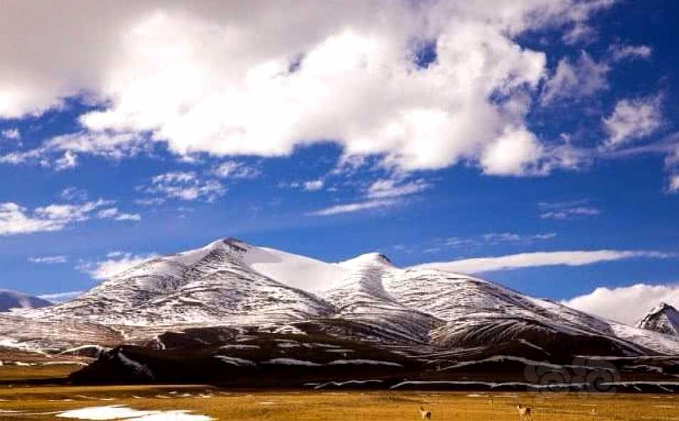 青藏高原九大山脉-图9
