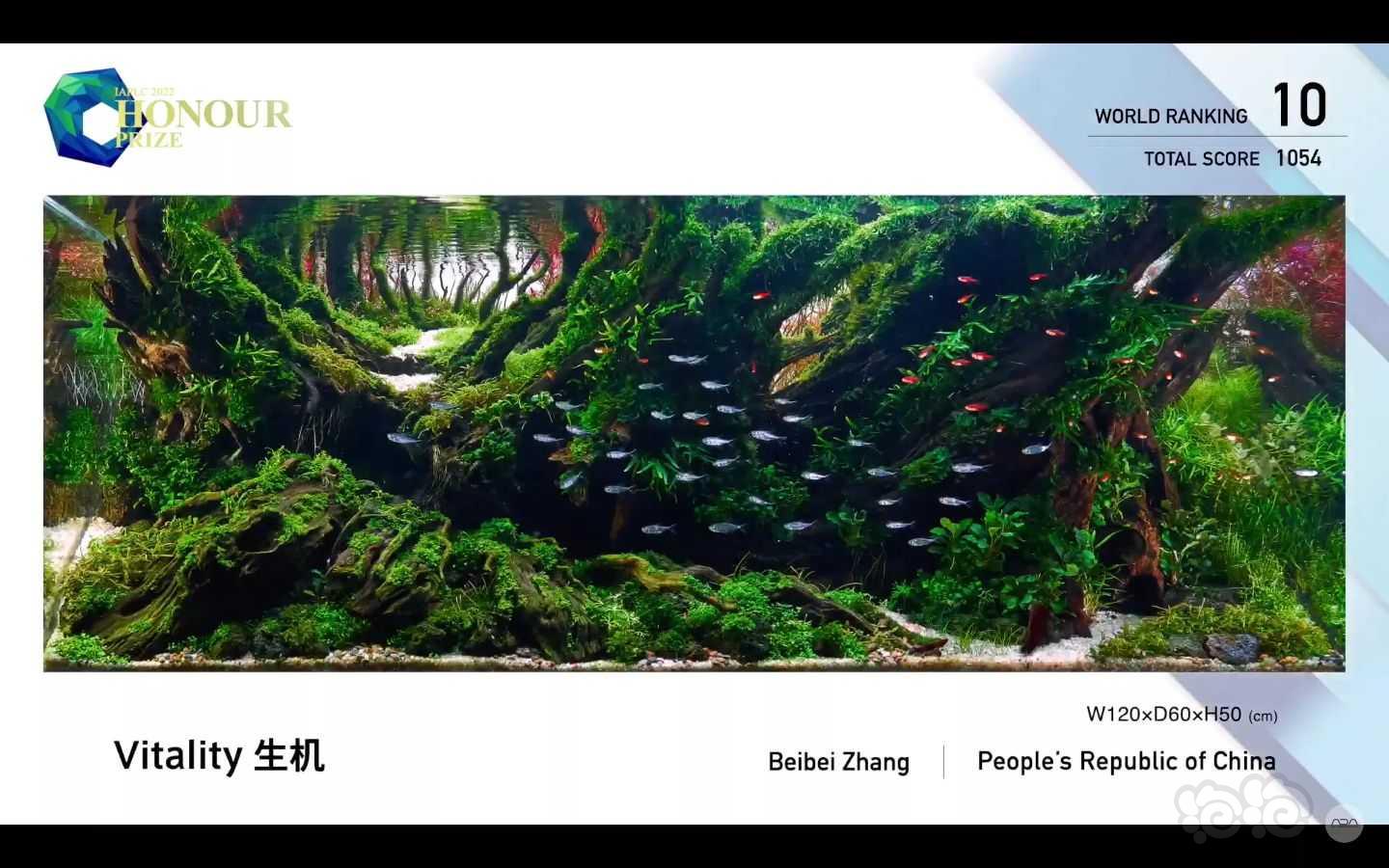 2022年IAPLC世界水景造景大赛中国参赛获奖作品-图6