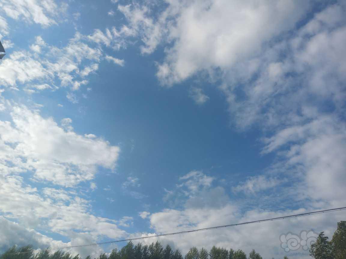 海蓝蓝的天空-图1