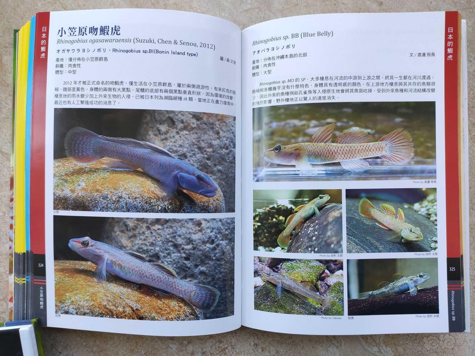 出一本虾虎鱼的书-图7