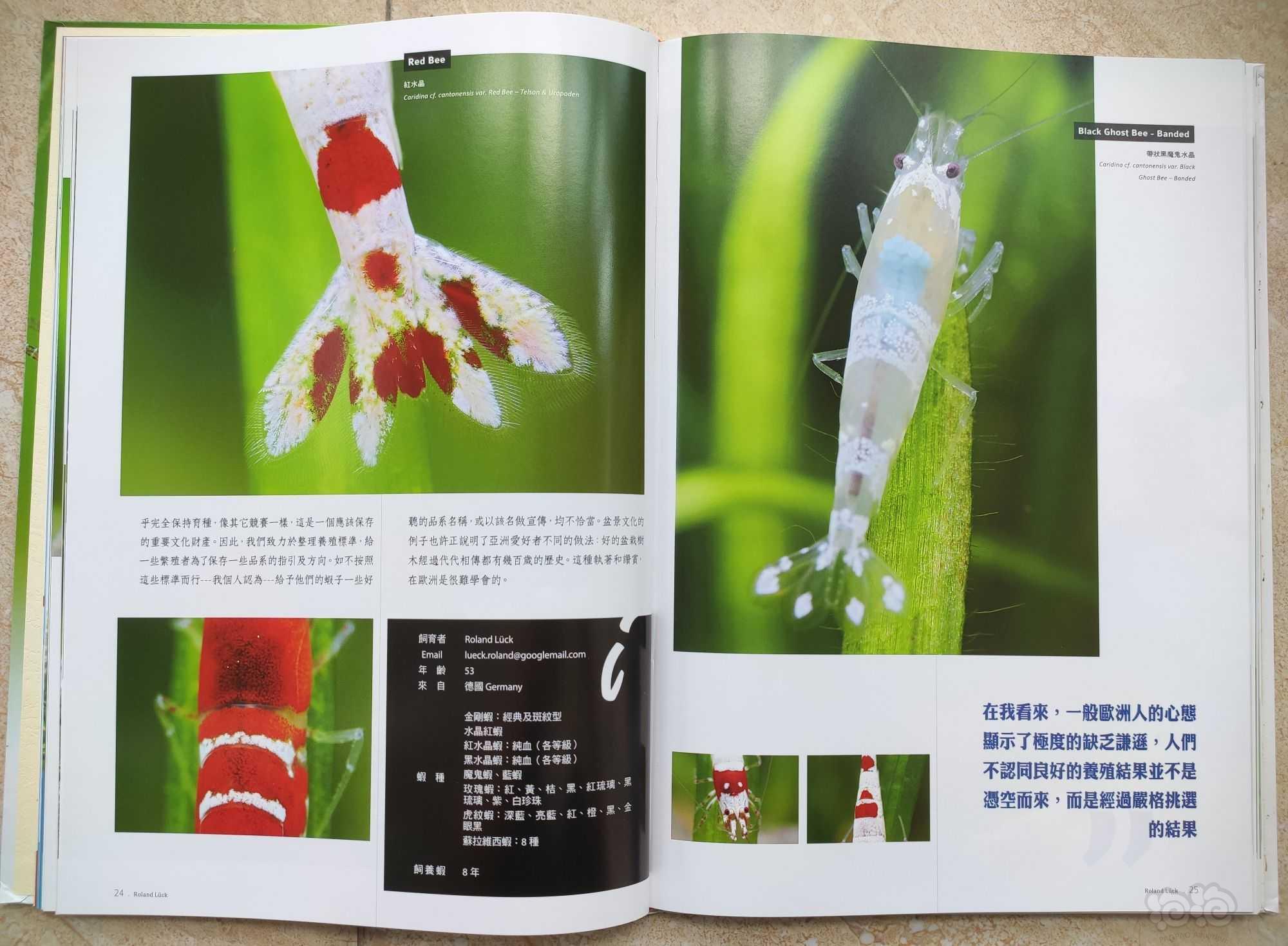 出水族书籍《水晶虾这样玩》8成新-图4