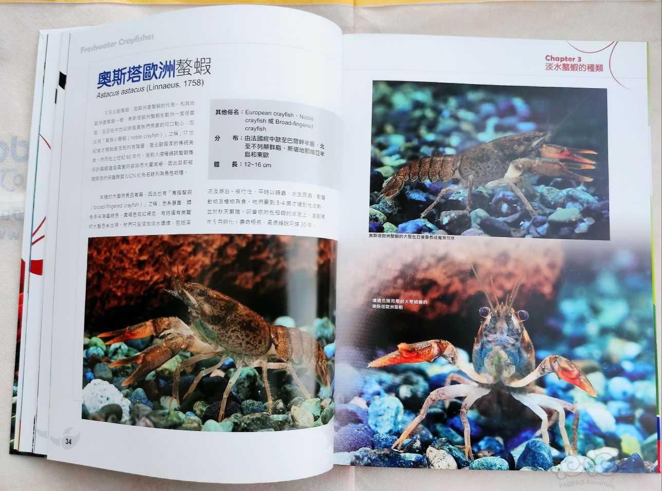 出水族书籍《淡水螯虾~华丽的铁甲武士》-图8