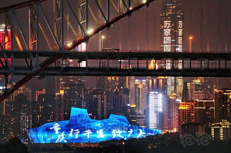 重庆夜景-图5