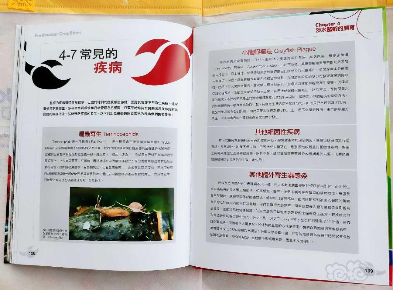 出水族书籍《淡水螯虾~华丽的铁甲武士》-图9