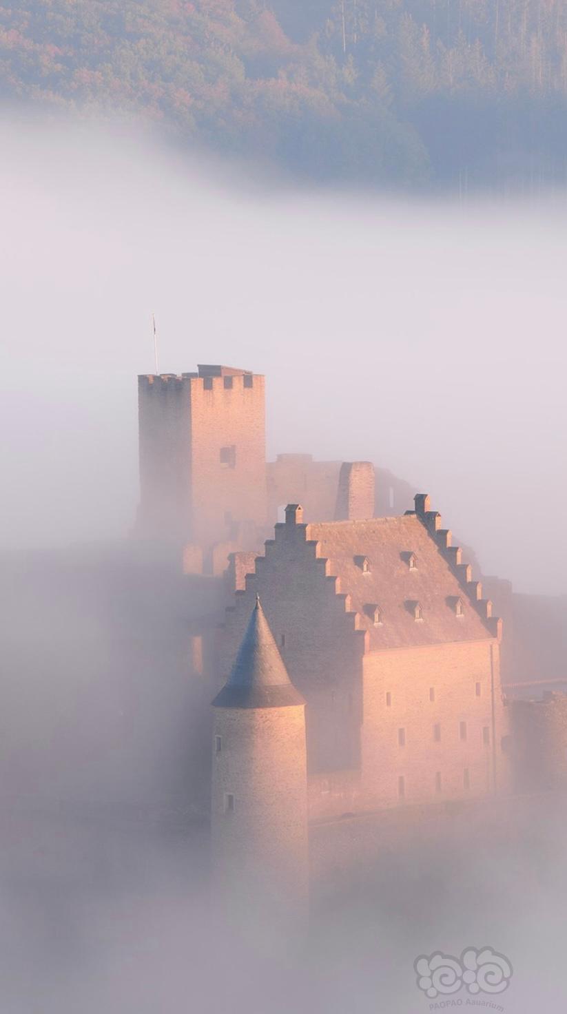 雾中城堡-图8