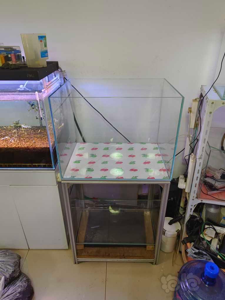 北京市昌平区北七家出售超白鱼缸和铝合金架子一套-图2