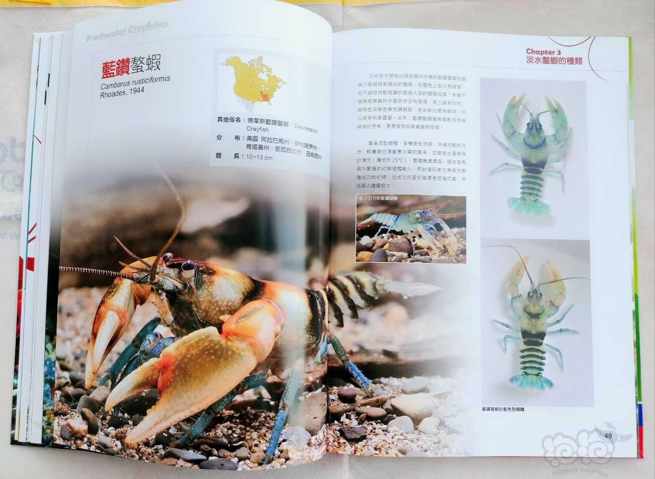 出水族书籍《淡水螯虾~华丽的铁甲武士》-图3