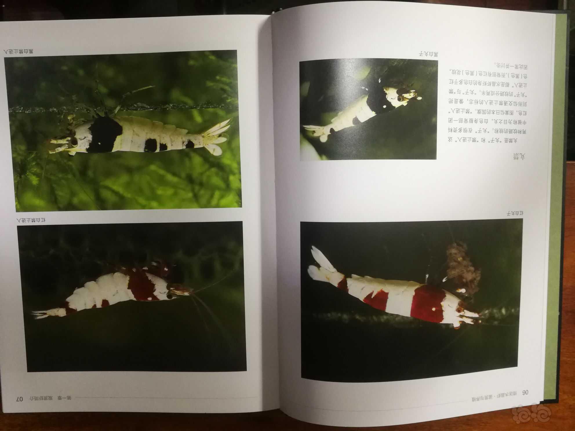 【出售】出售《情迷水晶虾：鉴赏与养殖》书-图4
