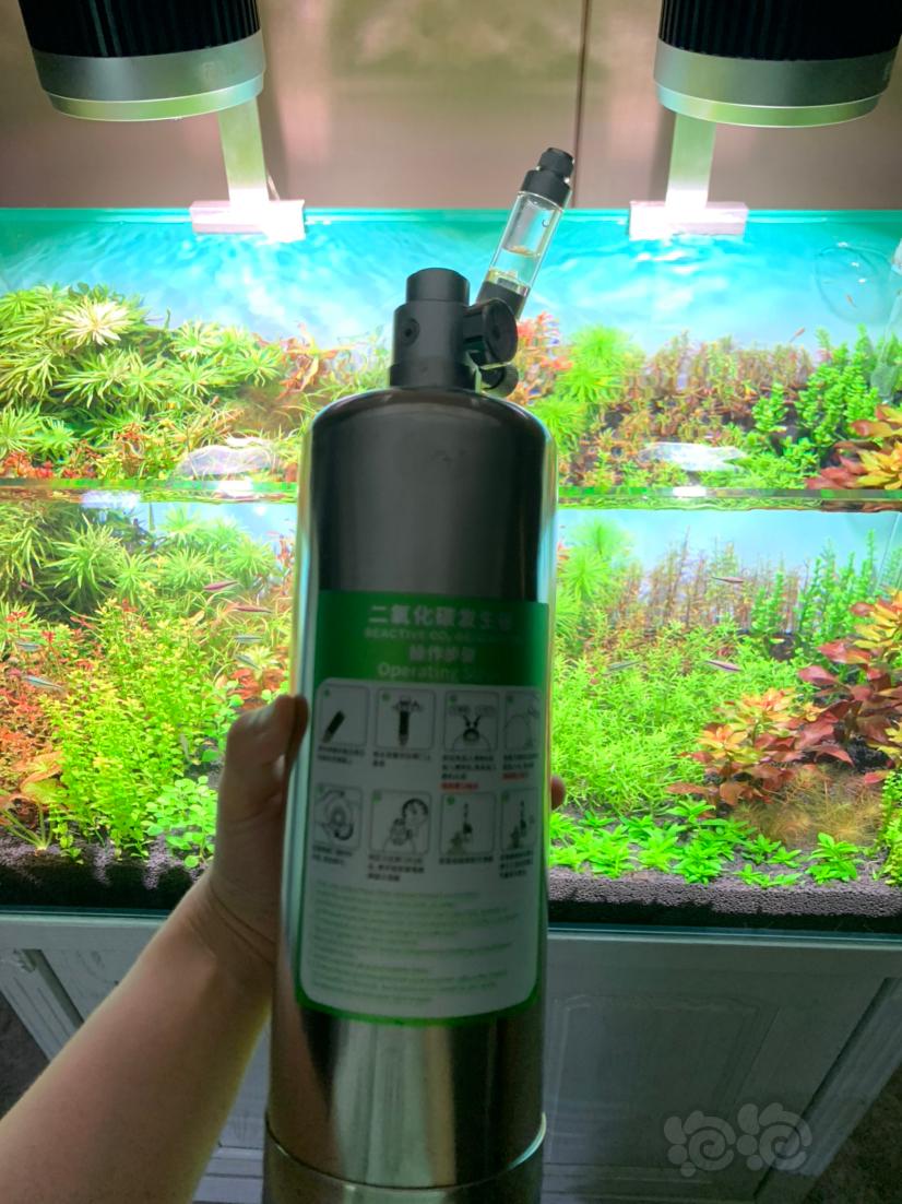 出无双pro100w水草灯和零度水草4L二氧化碳反应钢瓶-图5