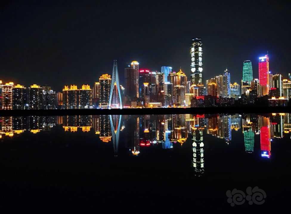 重庆夜景-图2