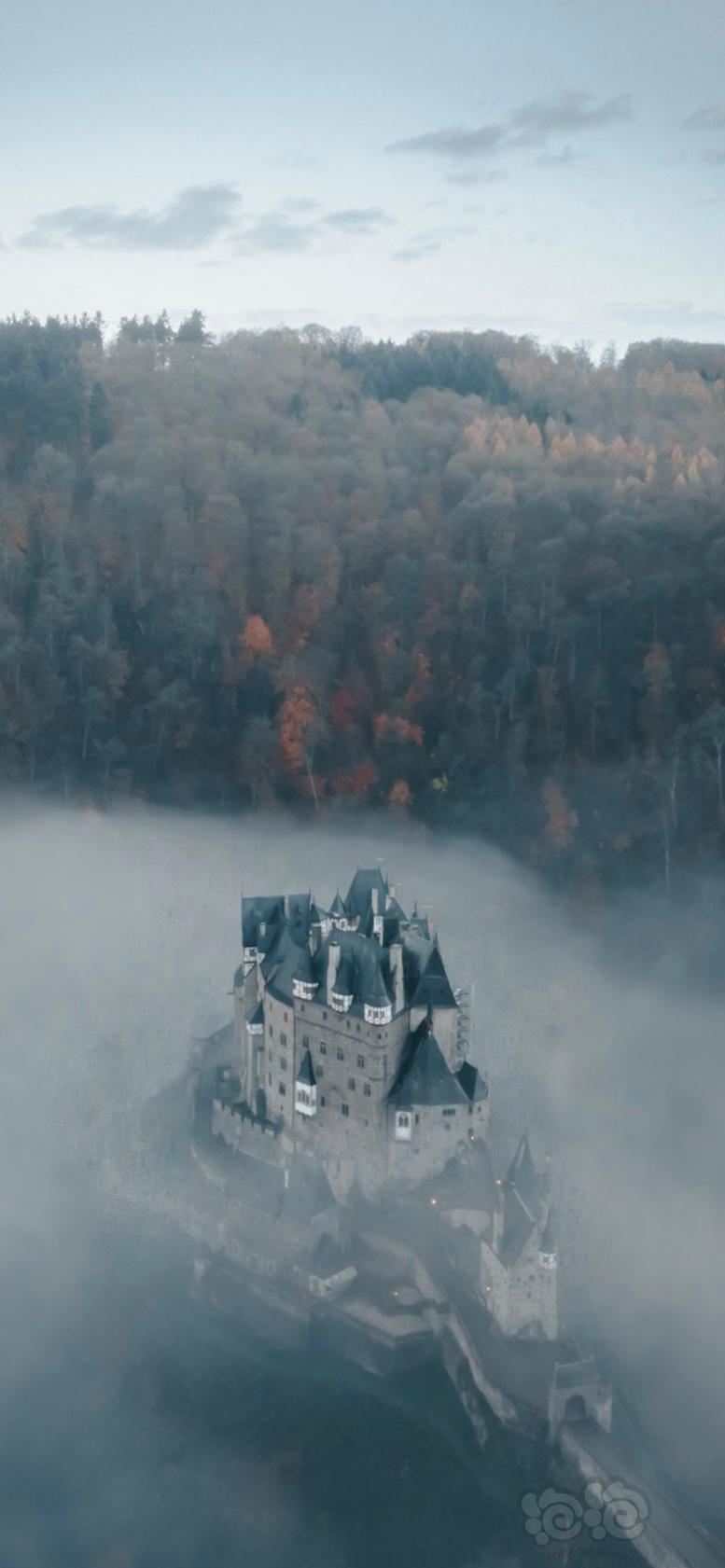 雾中城堡-图9