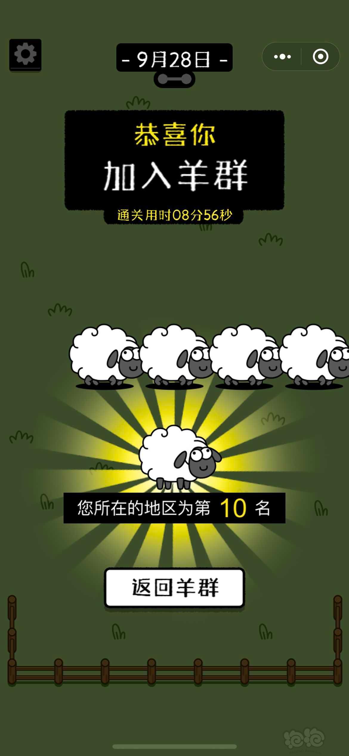 玩羊赏草-图1