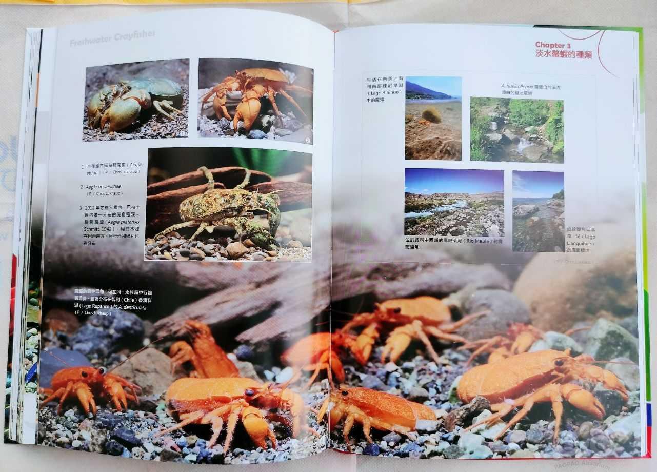 出水族书籍《淡水螯虾~华丽的铁甲武士》-图4