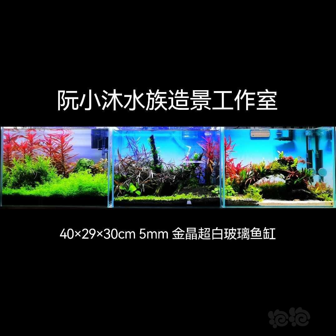 【出售】北京同城出成景水草缸-图1
