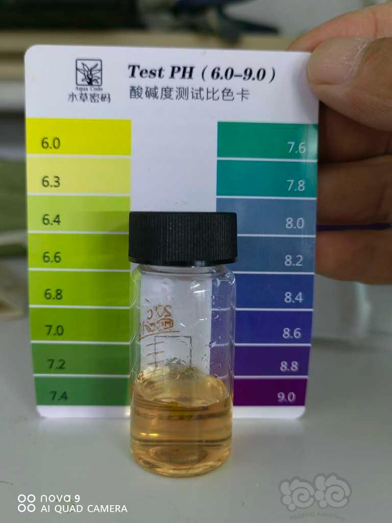水晶虾缸里的pH值。-图2