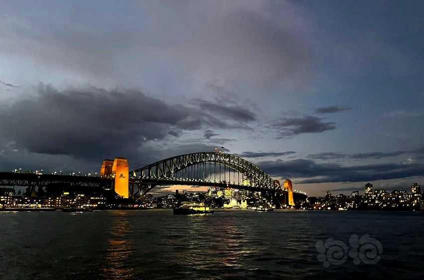 悉尼夜景-图5