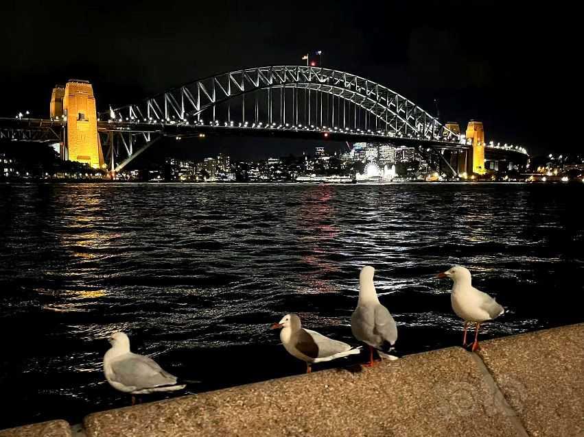 悉尼夜景-图7