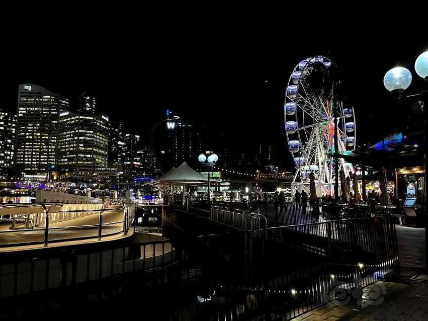 悉尼夜景-图1