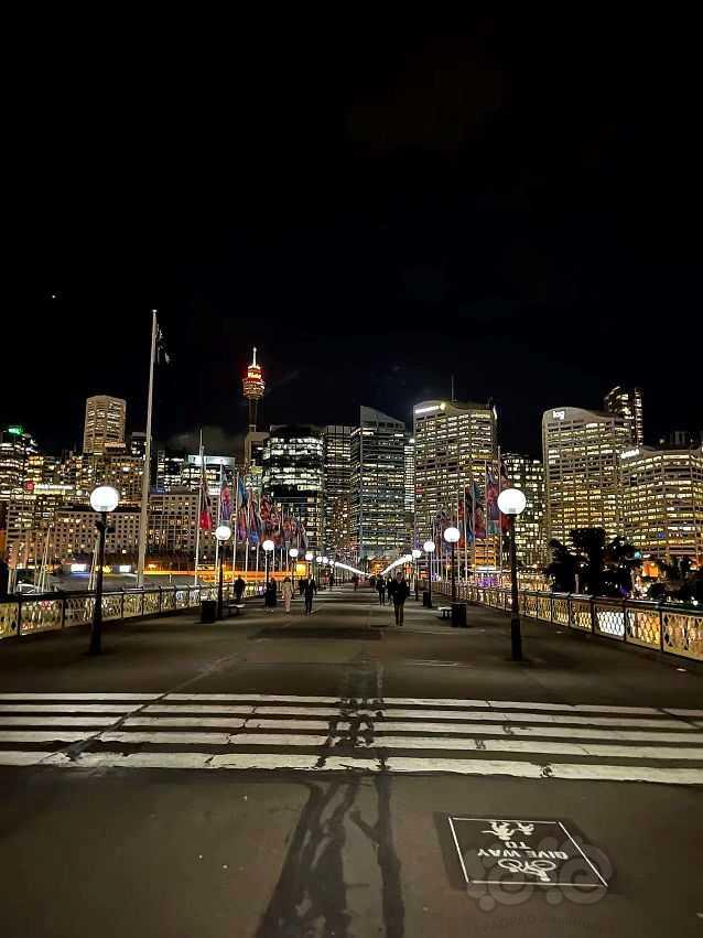 悉尼夜景-图2