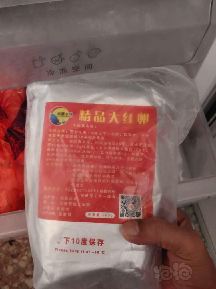 便宜出售尚嘉精品丰年虾大红卵-图1