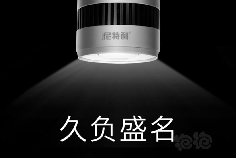 【交流】【品牌故事】之尼特利LED灯具发展史（新手选灯指南）-图1