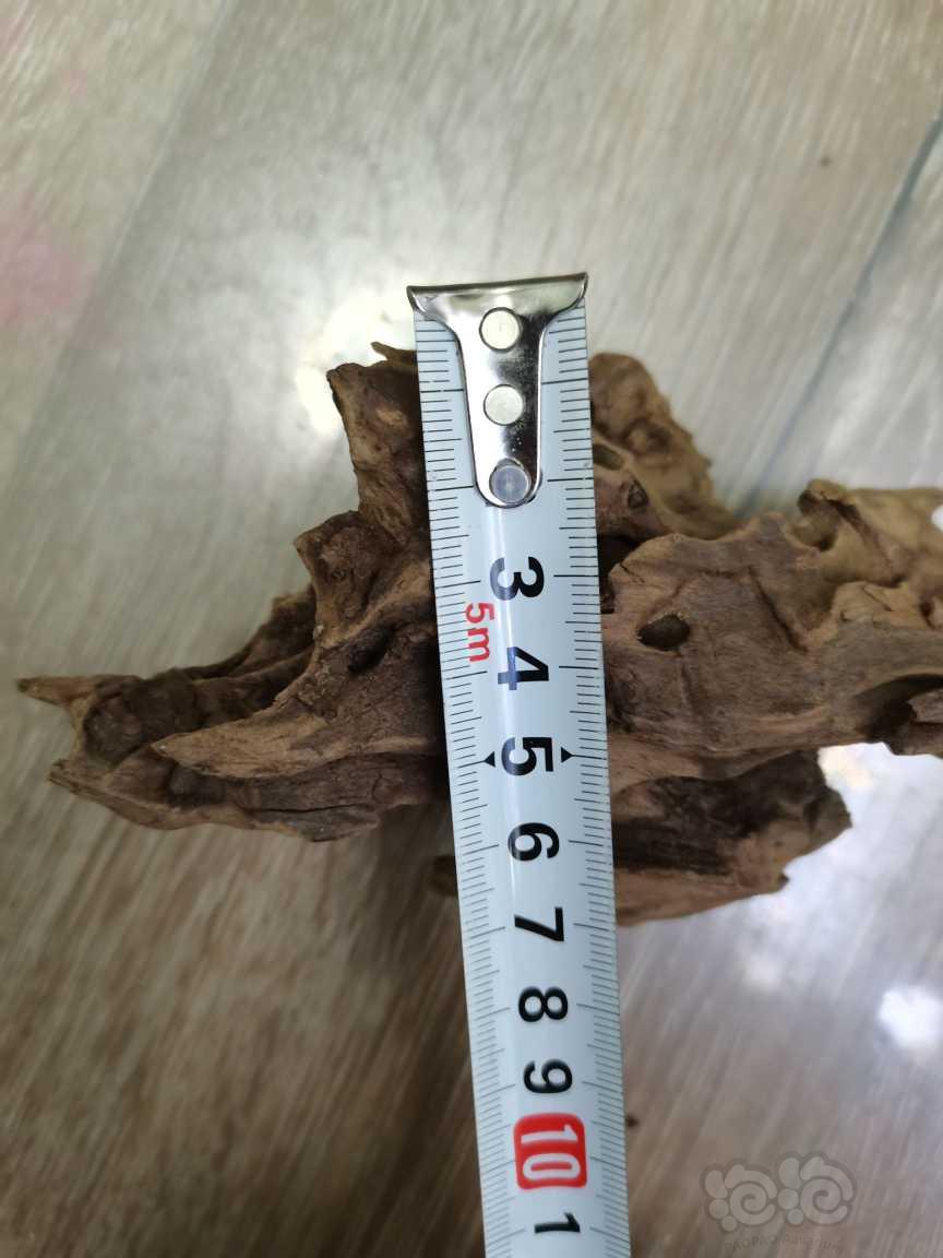 【用品】2022-11-27#RMB拍卖#虾木一份3块-图5