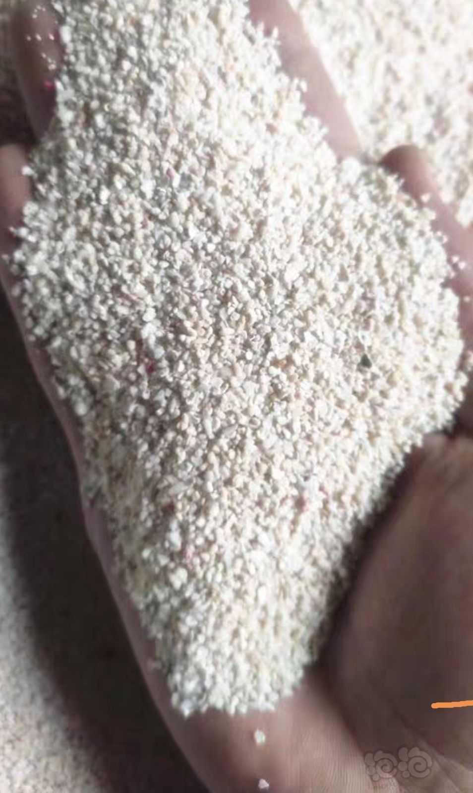 卖海缸得朋友给的一袋这个白色沙子，能不能养米虾用-图2