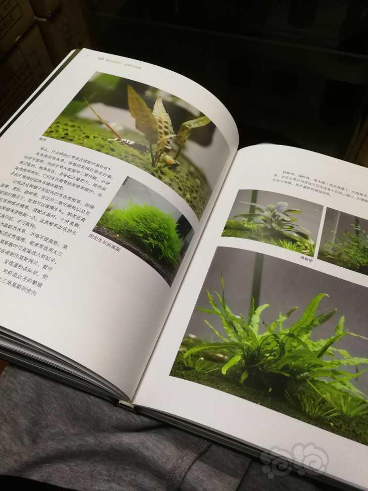 【用品】2022-12-11#RMB拍卖#全新《情迷水晶虾》书一本-图9