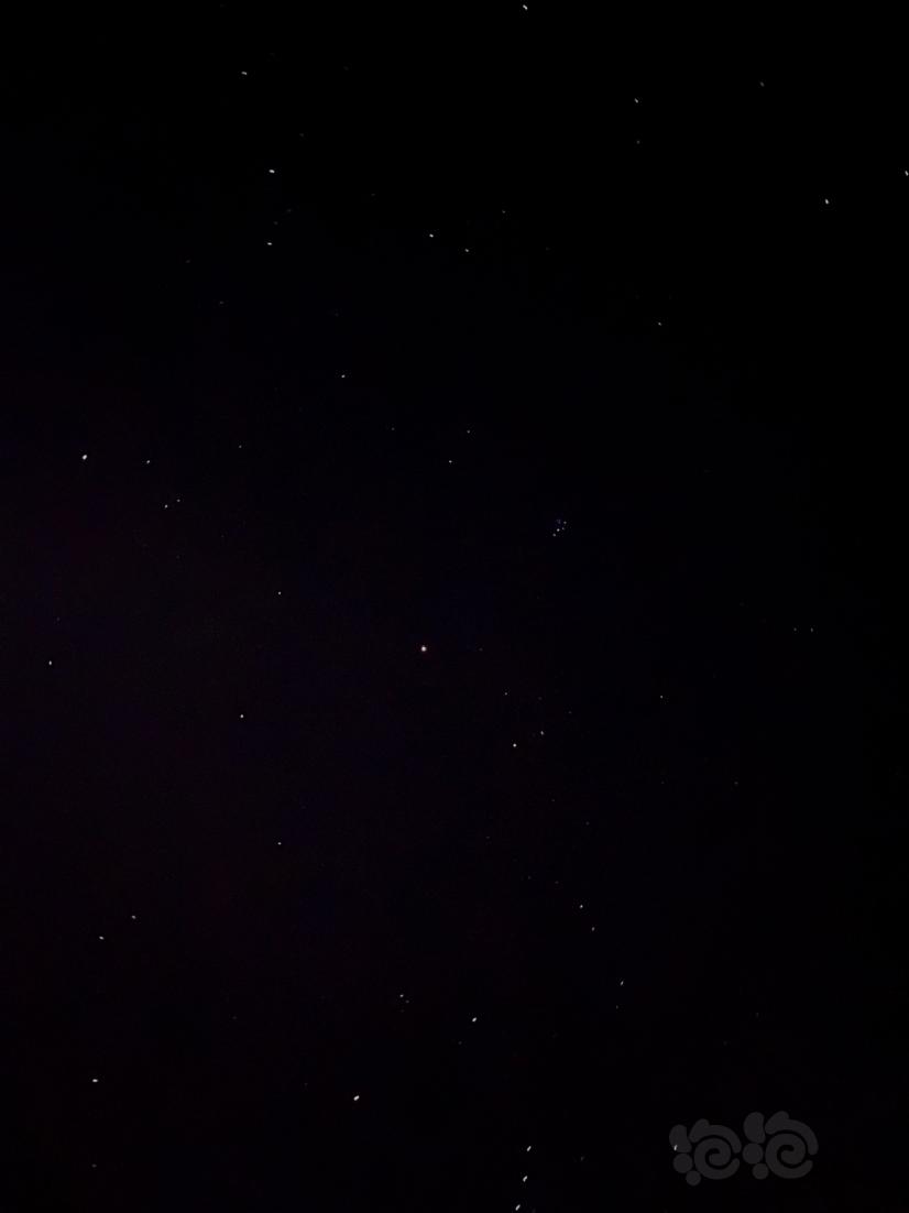 繁星之夜-图2