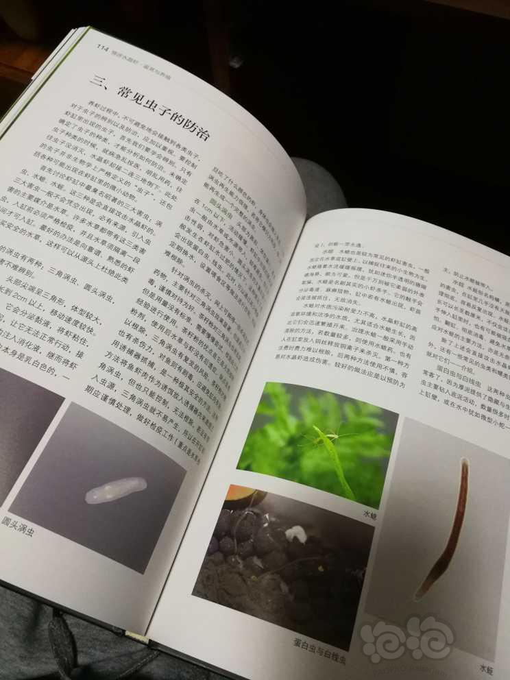 【用品】2022-12-6#RMB拍卖#《情迷水晶虾：鉴赏与养殖》书-图6