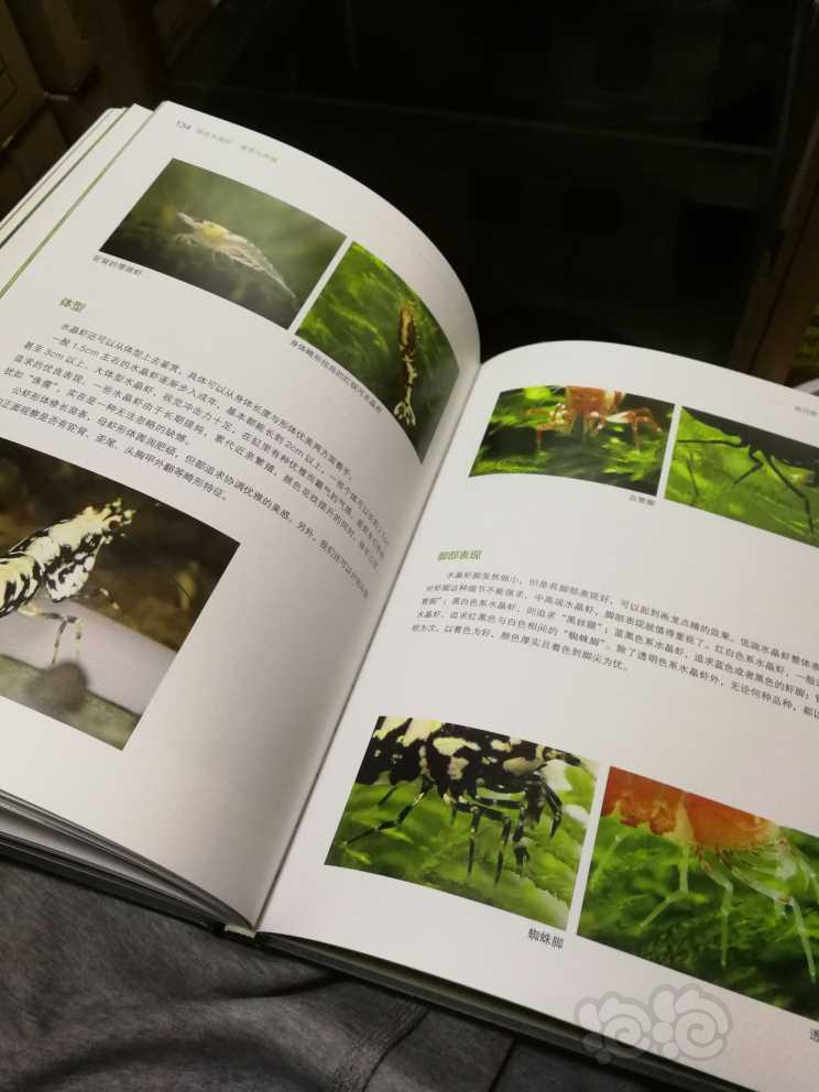 【用品】2022-12-11#RMB拍卖#全新《情迷水晶虾》书一本-图8