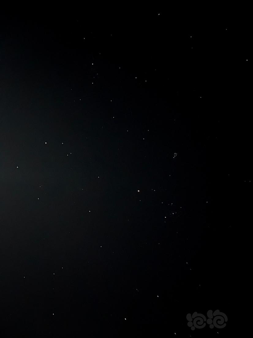 繁星之夜-图1