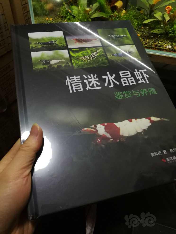 【用品】2022-12-20#RMB拍卖#《情迷水晶虾》书一本-图1
