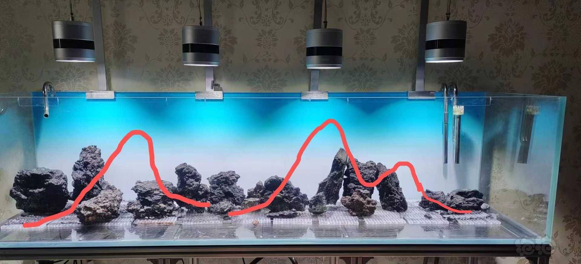 求专业石头鱼缸摆放大神指教-图2