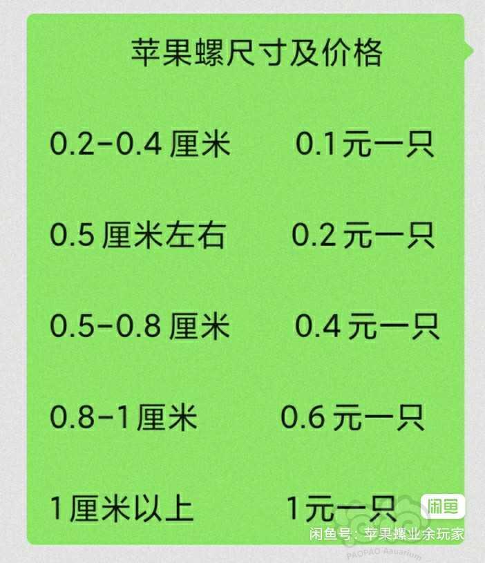 【出售】北京地区出点苹果螺-图8